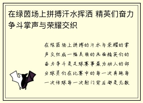 在绿茵场上拼搏汗水挥洒 精英们奋力争斗掌声与荣耀交织