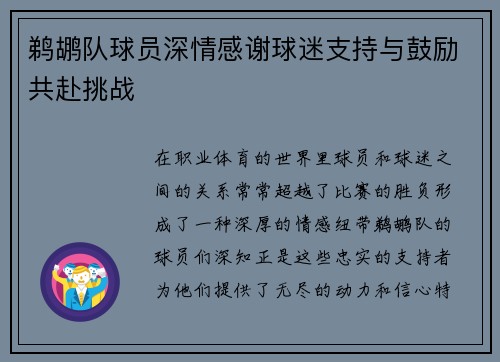 鹈鹕队球员深情感谢球迷支持与鼓励共赴挑战